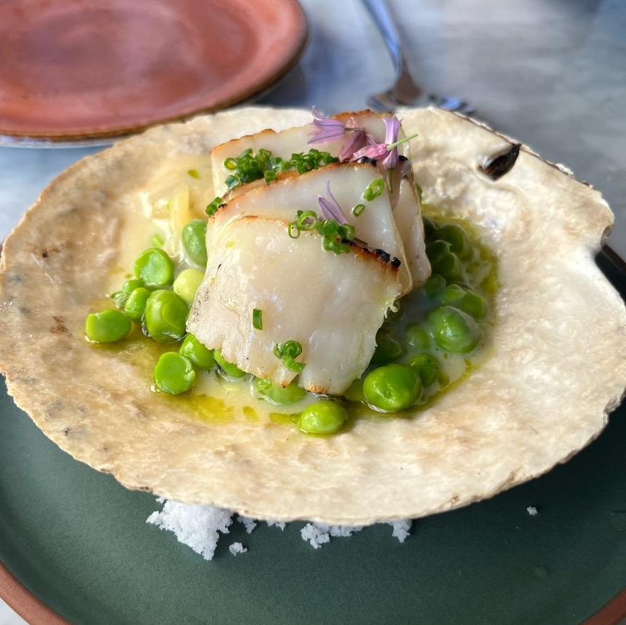 Photo of Cape cod scallop from Moëca