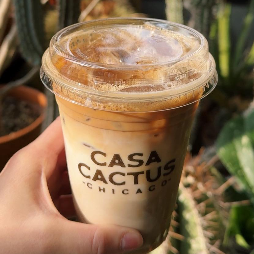 Photo of Iced vanilla latte from Casa Cactus